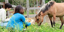 写真撮影OK・ふれあい大歓迎！ご自由にお入りください。