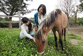 馬餌あげ体験【無料】