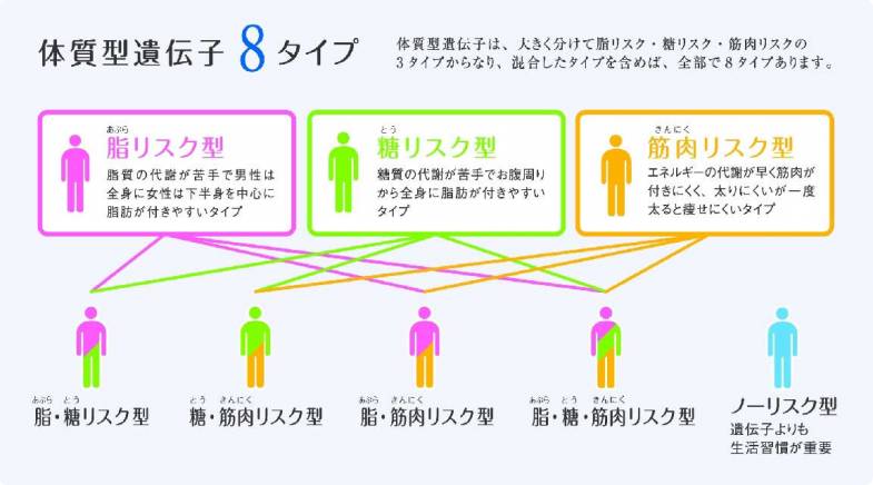 DNAダイエットファスティングプラン