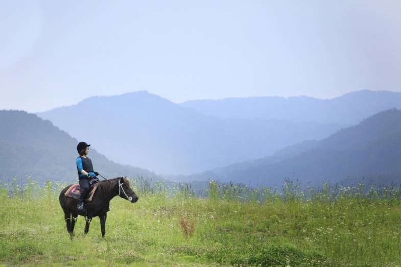 乗馬