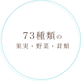 73種類の果実・野菜・茸類