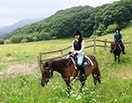乗馬・馬とふれあい