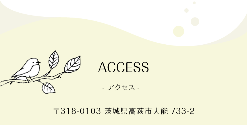 アクセス