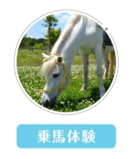 乗馬体験