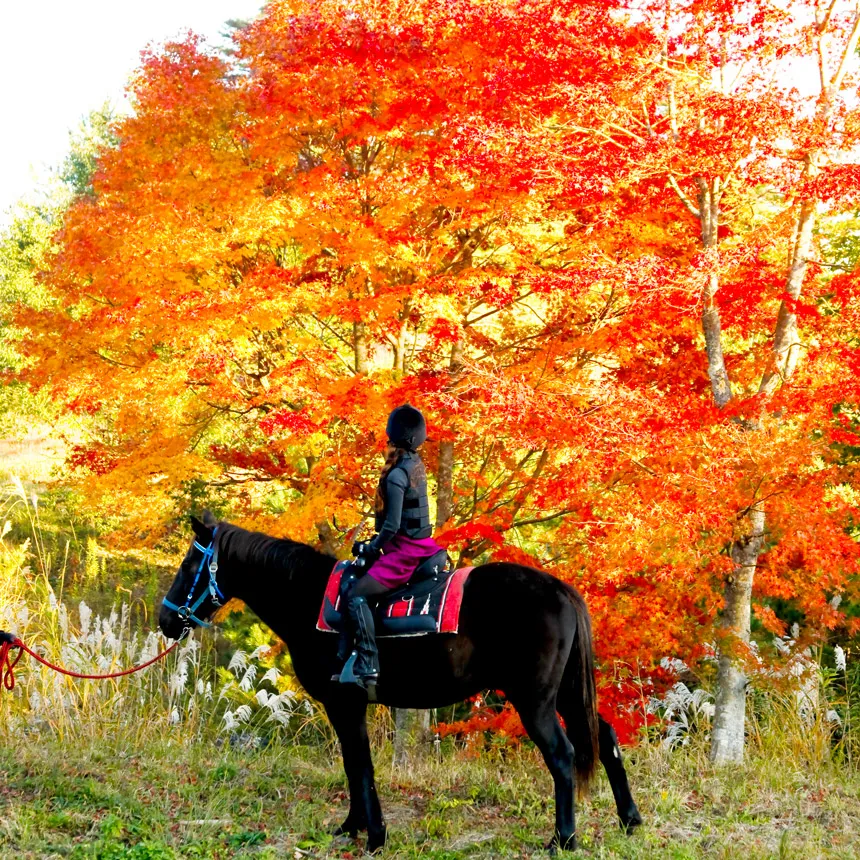 乗馬と紅葉狩り