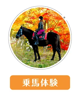 乗馬体験