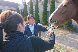 朝食